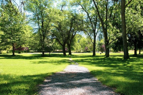 A serene park scene featuring a gravel path winding through lush green grass and trees under a clear blue sky.