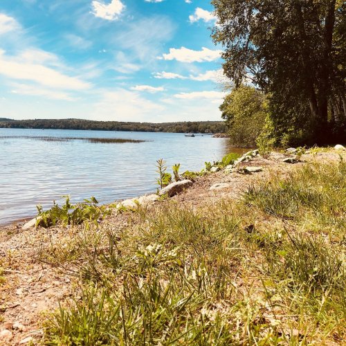 A serene lakeside view with clear blue skies, lush greenery, and gentle waves lapping at the shore.