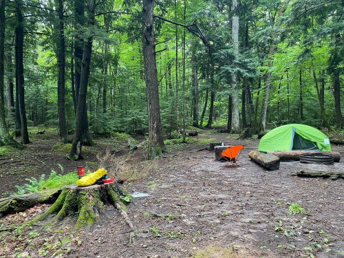 A green tent set up in a lush forest clearing, with a campfire area and logs for seating nearby.
