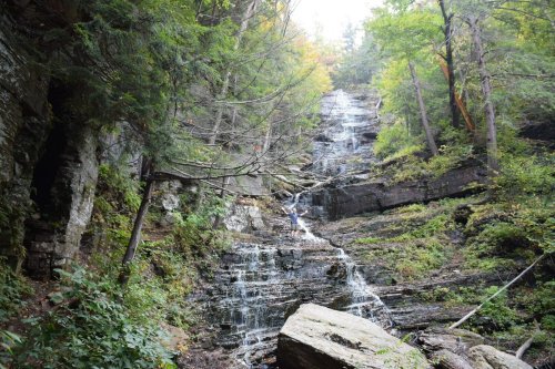 A person climbs a rocky waterfall surrounded by lush green trees and foliage.