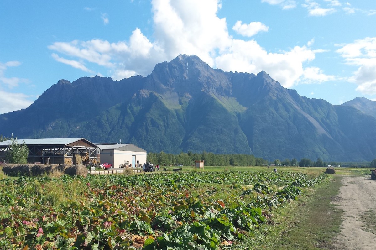 If There's One Fall Festival You Attend in Alaska, Make It the Fall Harvest Festival