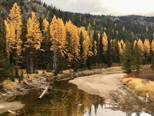 A serene landscape featuring a winding river surrounded by vibrant autumn trees in shades of yellow and green.