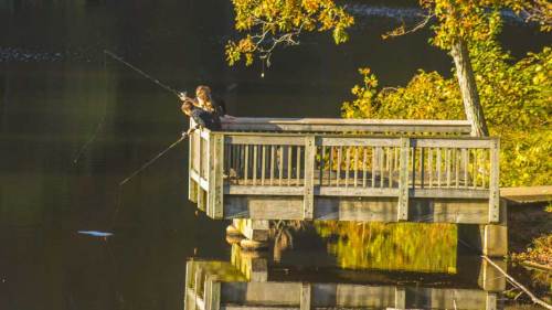 Two people fishing from a wooden dock surrounded by autumn foliage, reflecting in the calm water below.