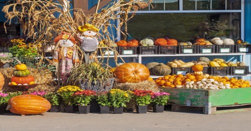 A harvest festival product display