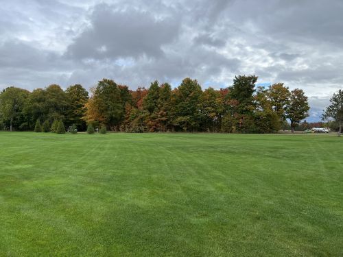 A wide green field with a backdrop of trees displaying autumn colors under a cloudy sky.