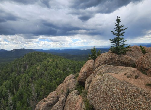 A rocky outcrop overlooks a lush green forest and distant mountains under a cloudy sky.