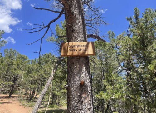 A wooden sign on a tree reads "Aspen Trail" with a distance of 1.9 miles, surrounded by pine trees and blue sky.