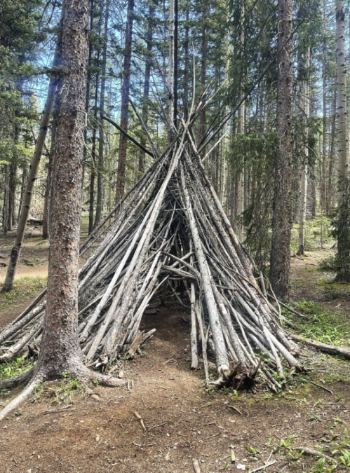 A teepee structure made of branches stands in a forest, surrounded by tall trees and a natural forest floor.