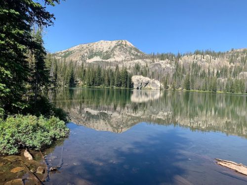 A serene lake surrounded by trees and mountains, reflecting the clear blue sky and rocky landscape.