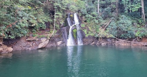 A serene waterfall cascading into a tranquil green pool, surrounded by lush forest vegetation.