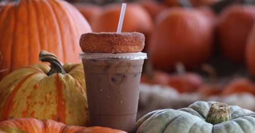 Iced coffee topped with a donut, surrounded by pumpkins and gourds in autumn colors.