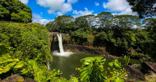 A lush green landscape featuring a waterfall cascading into a serene pool, surrounded by vibrant foliage and blue skies.