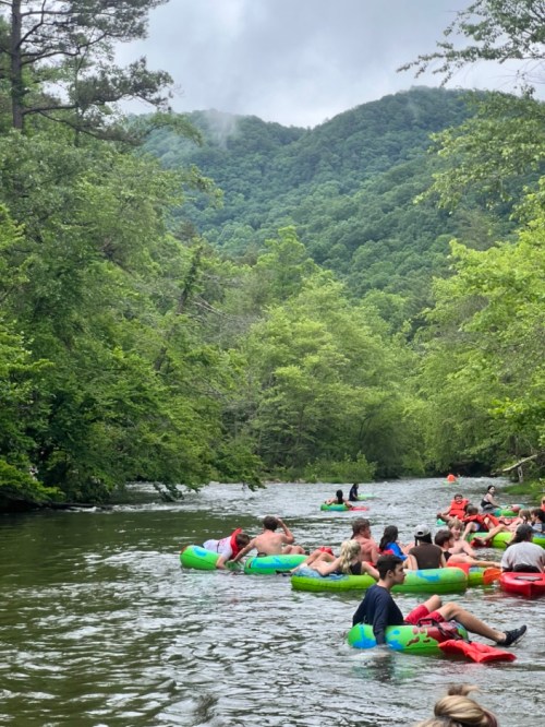 People floating on colorful inner tubes down a river, surrounded by lush green trees and mountains in the background.