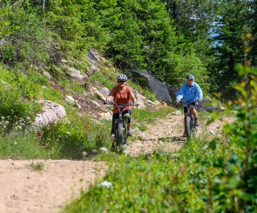 Two cyclists ride on a dirt path surrounded by greenery and wildflowers on a sunny day.