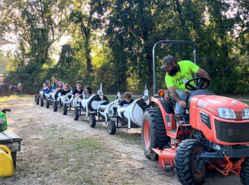 A man drives a tractor pulling a line of children in small, cow-themed carts on a dirt path surrounded by trees.