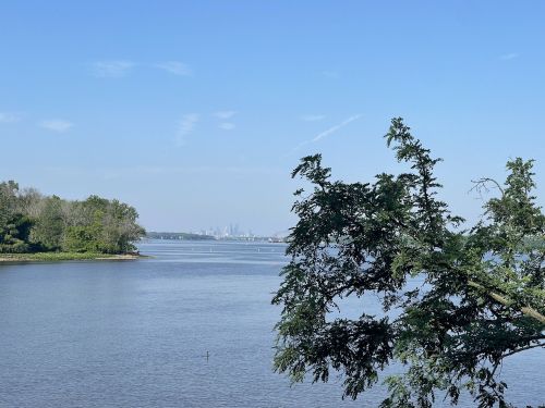 A serene view of a river with trees on the shore and a distant city skyline under a clear blue sky.