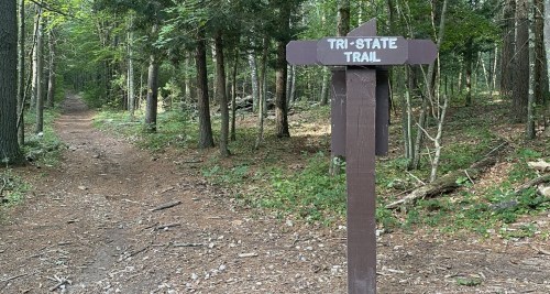 A wooden signpost labeled "Tri-State Trail" stands at the edge of a forest path surrounded by trees.