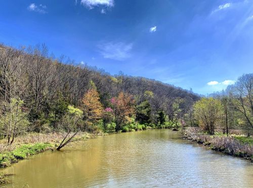 A serene river flows through a wooded landscape with vibrant spring foliage under a clear blue sky.
