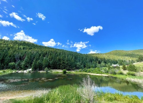 A serene landscape featuring a calm lake surrounded by lush green trees and a clear blue sky with scattered clouds.