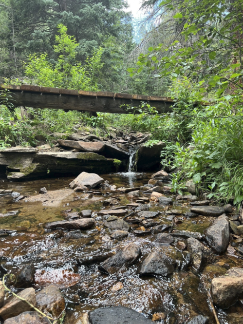 A serene creek flows over rocks beneath a wooden bridge, surrounded by lush greenery and trees.