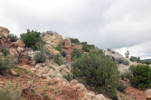 Rocky hillside with scattered shrubs under a cloudy sky.