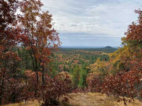 A scenic view of a colorful autumn landscape with trees in shades of red, orange, and green under a cloudy sky.