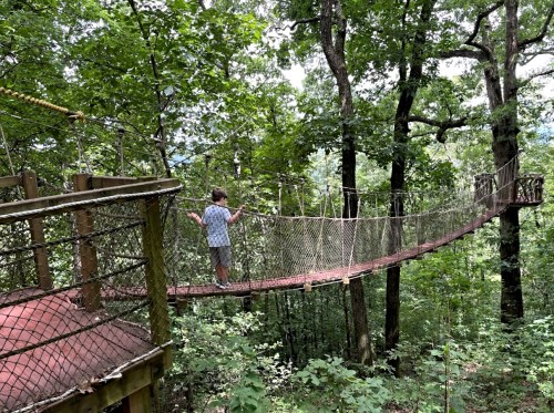 A child stands on a suspended rope bridge surrounded by lush green trees in a forest.