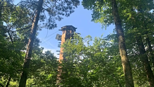 A tall observation tower rises above lush green trees under a clear blue sky.