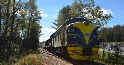 A colorful train on a scenic track surrounded by trees and a clear blue sky.