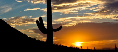 Silhouette of a cactus against a vibrant sunset with colorful clouds in the sky.