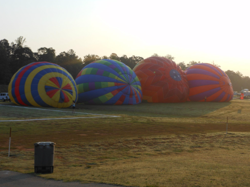 Colorful hot air balloons partially inflated on a grassy field during sunrise.