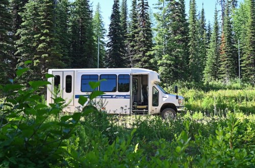 A white shuttle bus parked in a lush green forest surrounded by tall trees and underbrush.