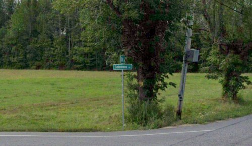 A green street sign for "Delaware Ave" next to a grassy field and trees.
