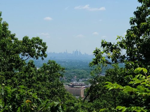 A distant city skyline visible through green trees on a clear day, with blue skies and scattered clouds.