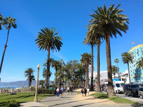 A sunny promenade lined with tall palm trees, people walking, and a clear blue sky in the background.