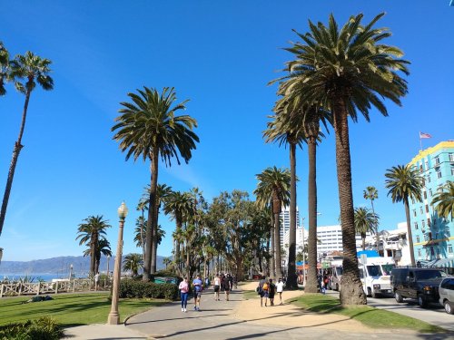 A sunny promenade lined with tall palm trees, people walking, and a clear blue sky in the background.