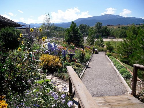 A vibrant garden path lined with colorful flowers, leading to mountains under a clear blue sky.