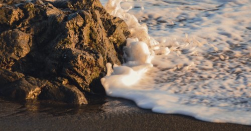 sonoma state coast park's shell beach with dark sand, rocks, and foamy water