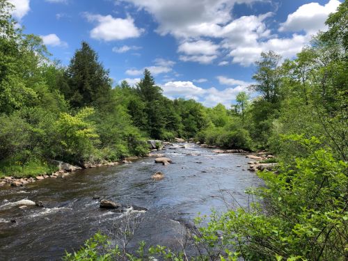 A serene river flows through lush greenery under a partly cloudy sky, with rocks scattered along the water's edge.