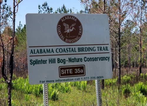 Sign for Alabama Coastal Birding Trail at Splinter Hill Bog Nature Conservancy, indicating Site 35a.