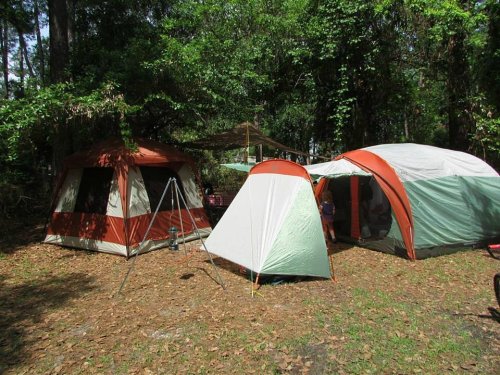 Two camping tents set up in a wooded area, surrounded by trees and fallen leaves.