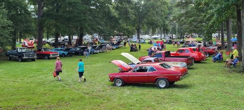 A car show in a park with various classic cars and people walking among them on a grassy area.