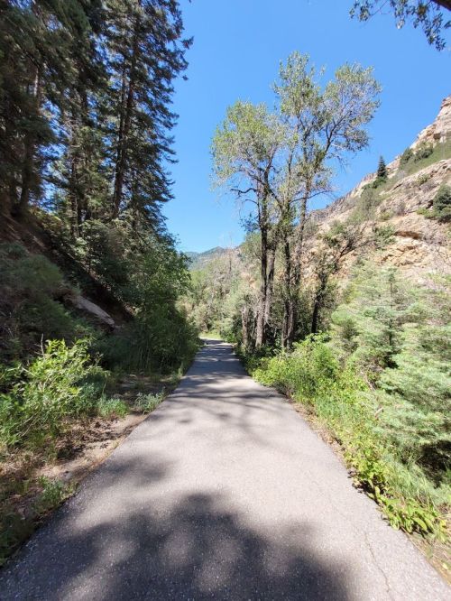 A scenic pathway surrounded by trees and greenery, leading into a mountainous area under a clear blue sky.
