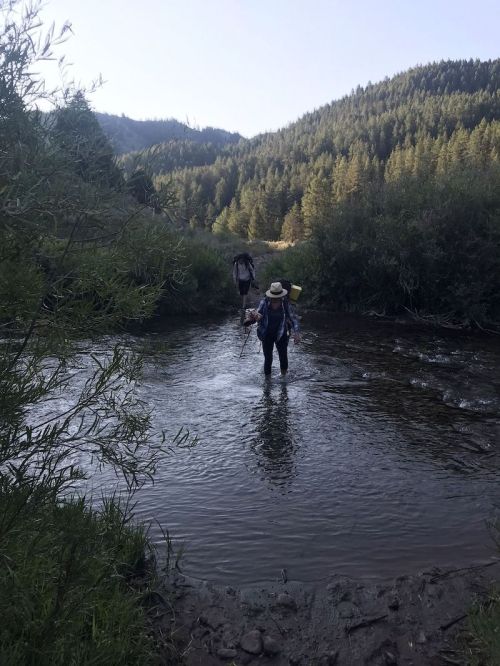 Two people wade through a shallow river surrounded by trees and mountains under a clear sky.