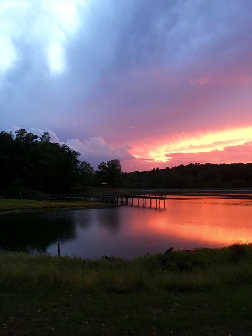 A serene lake at sunset, reflecting vibrant orange and purple hues, with a wooden dock and lush greenery nearby.