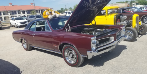 A maroon classic car with the hood open, featuring a tiger plush toy on top, parked among other vintage cars.