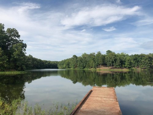A serene lake surrounded by lush greenery, with a wooden dock extending into the calm water under a blue sky.