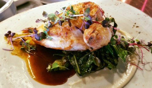 A beautifully plated dish featuring roasted chicken on a bed of greens, garnished with microgreens and a sauce drizzle.
