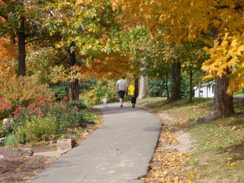 A man and a dog walk along a tree-lined path with vibrant autumn foliage and colorful flowers.