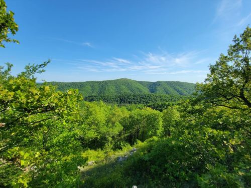 Lush green hills under a clear blue sky, framed by trees in the foreground.